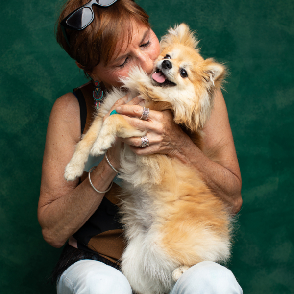Spitz en studio photo